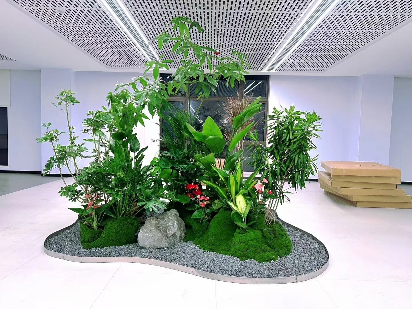 宁波绿植租赁收益-慈溪花木租摆咨询-宁波花卉租摆图片-北仑花木租摆活动